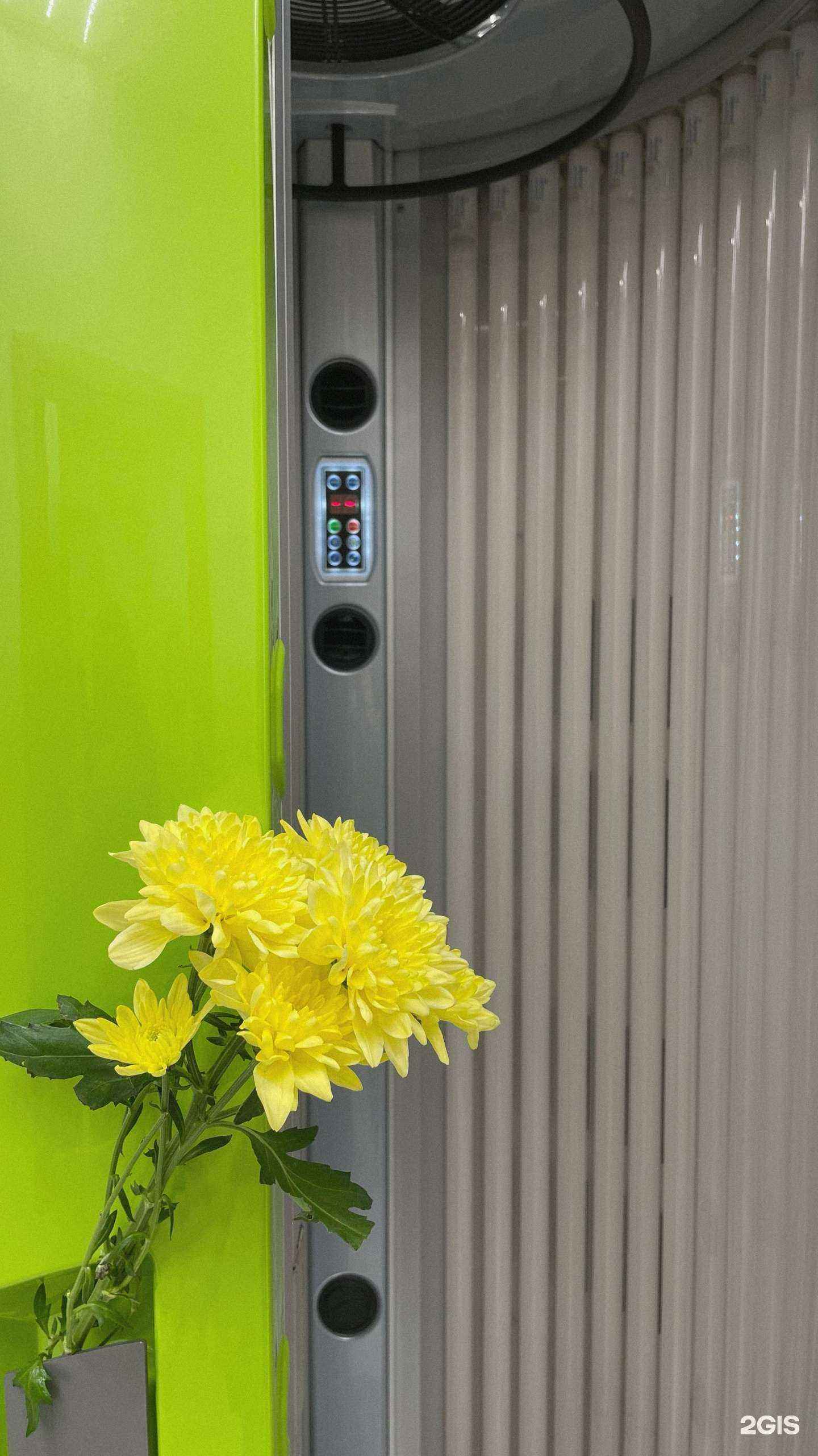 Отзывы на компанию Koza dereza в Ярославле c фото