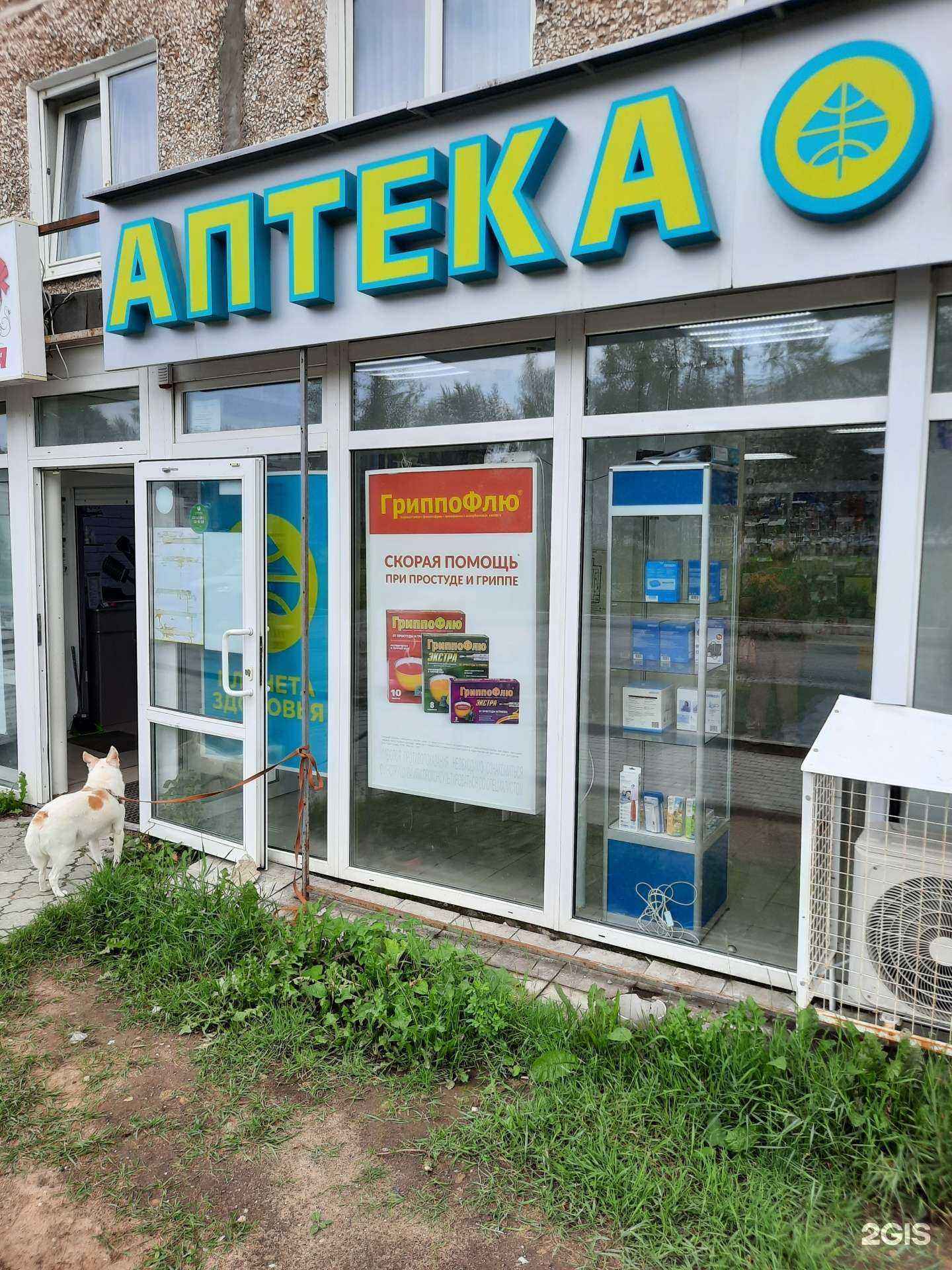 Отзывы на компанию Планета здоровья в Березниках c фото