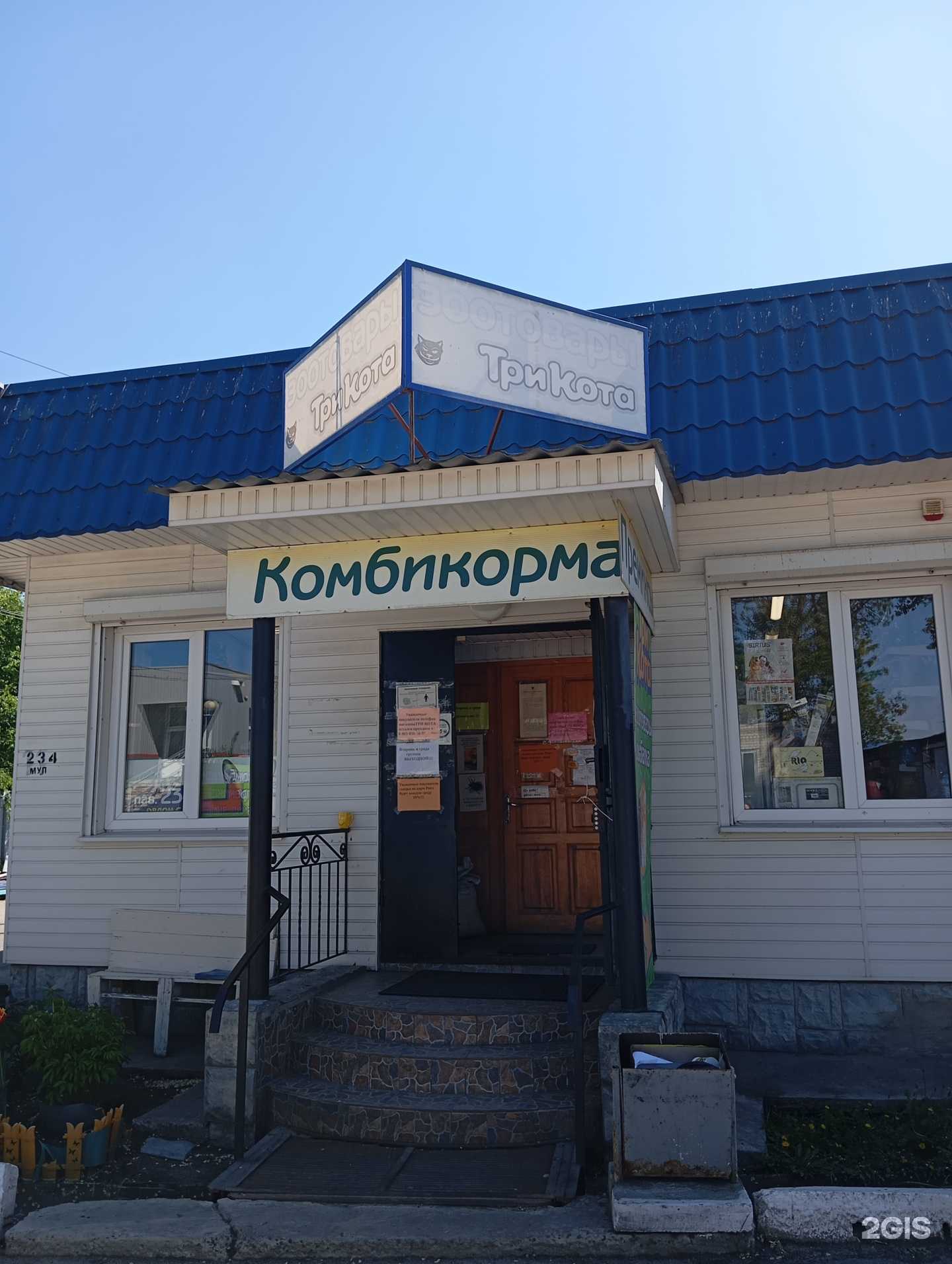 Отзывы на компанию Три кота в Воронеже c фото