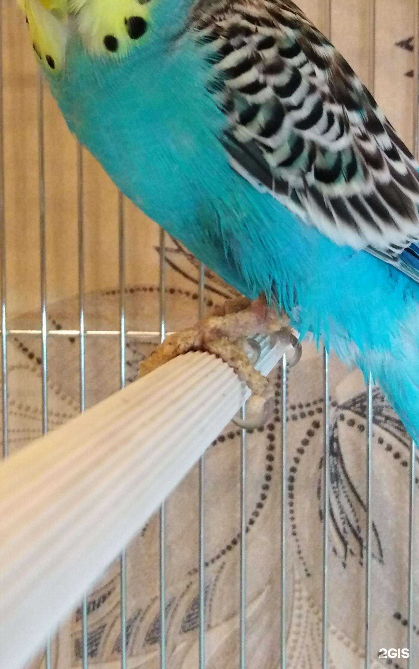 Отзывы на компанию Нимфа в Каменске-Уральском c фото