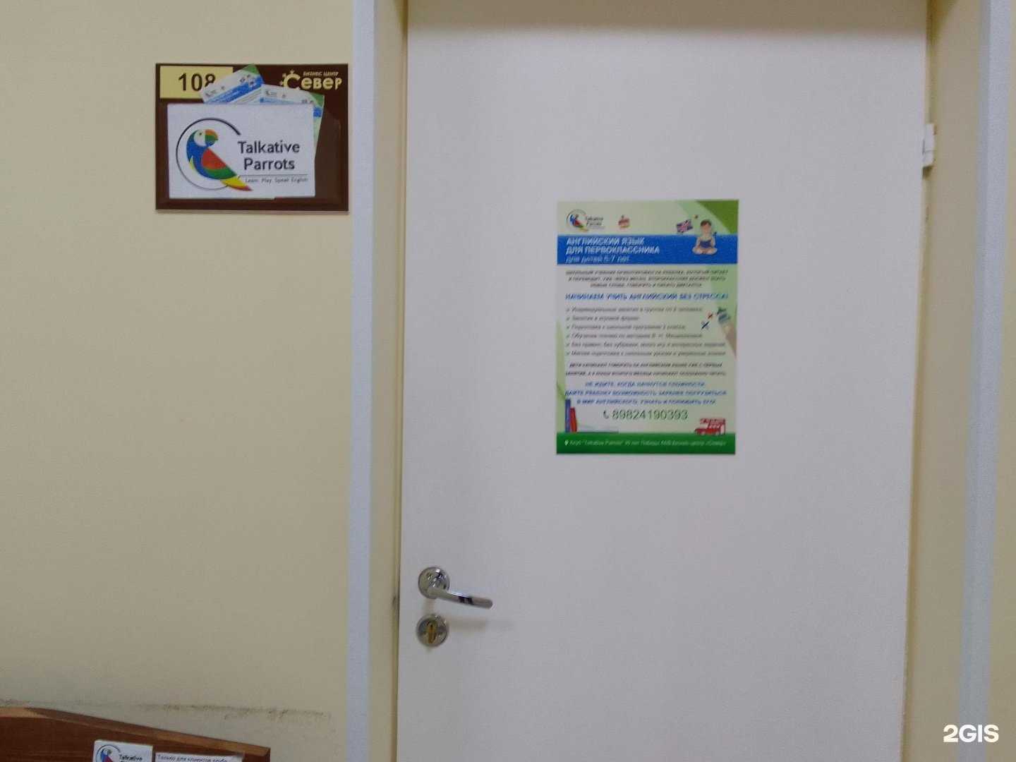 Отзывы на компанию Talkative Parrots в г. Сургут c фото