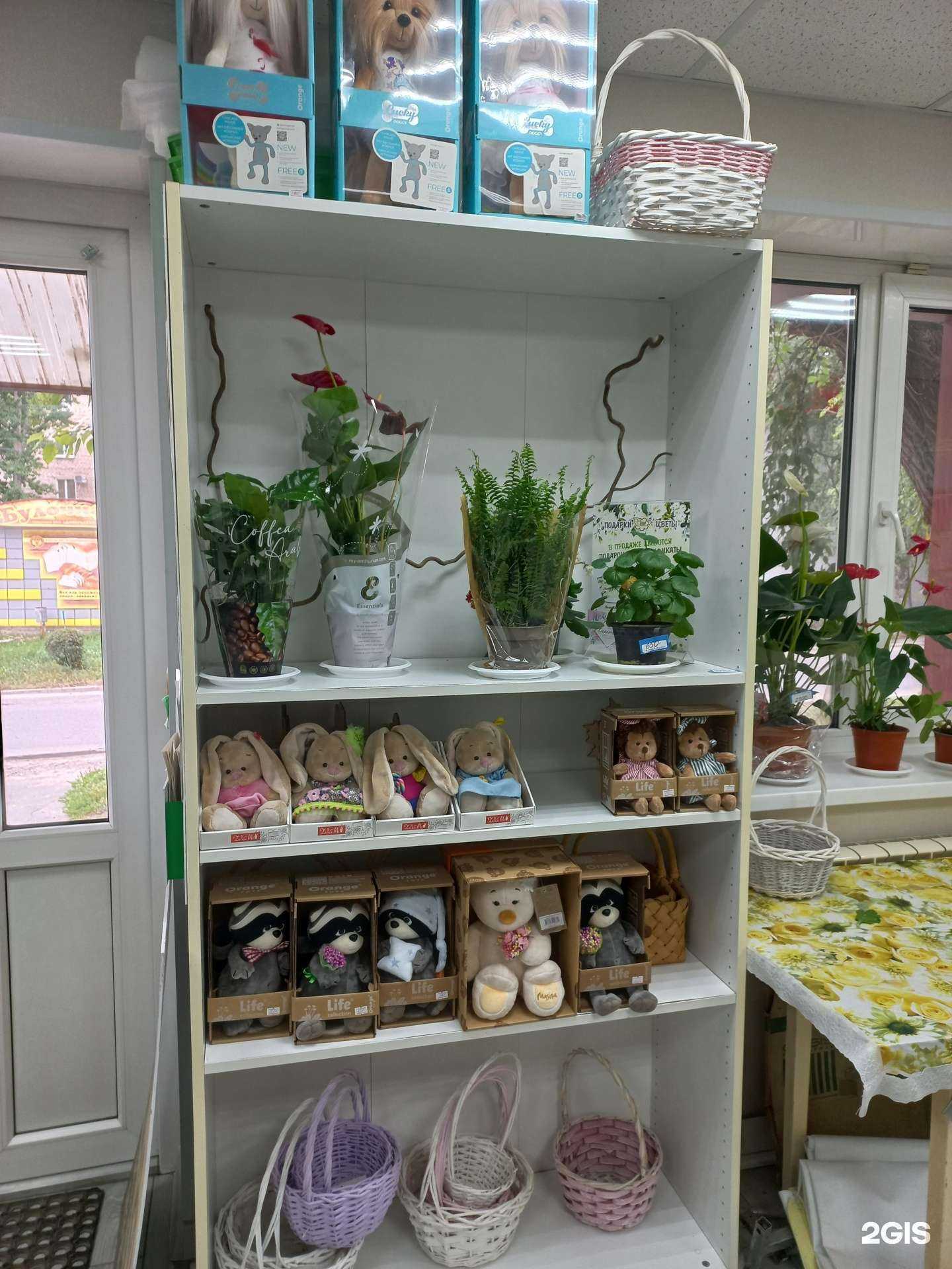 Отзывы на компанию Ваш букет в г. Сызрань c фото