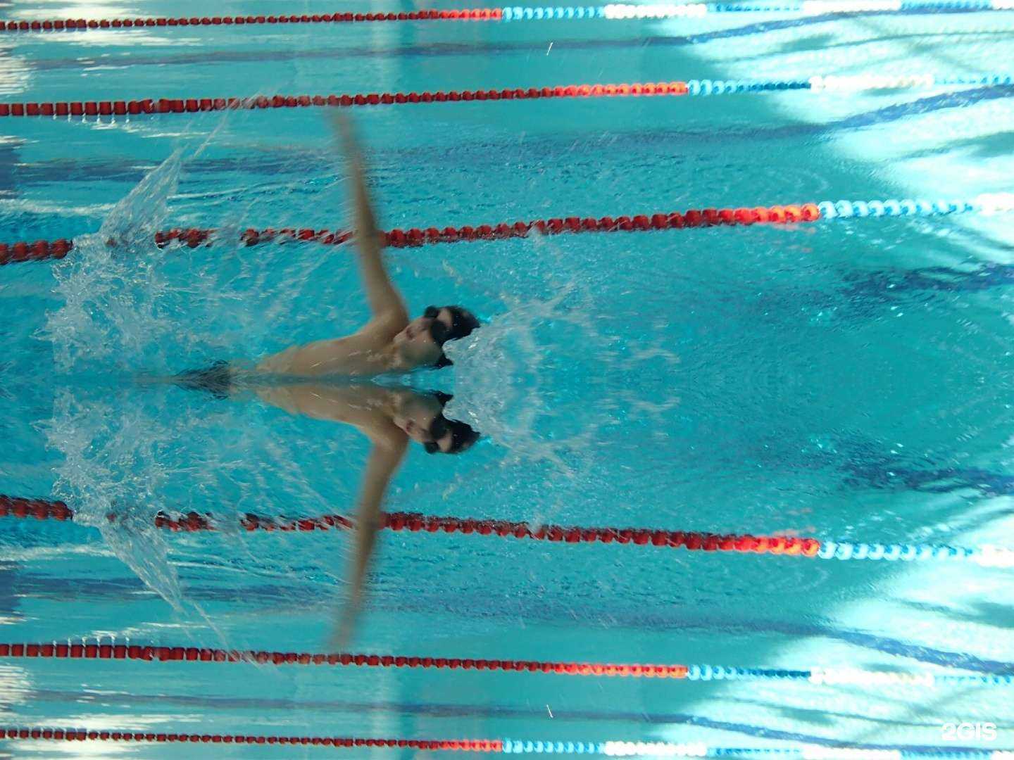 Отзывы на компанию Косатка в Комсомольске-на-Амуре c фото