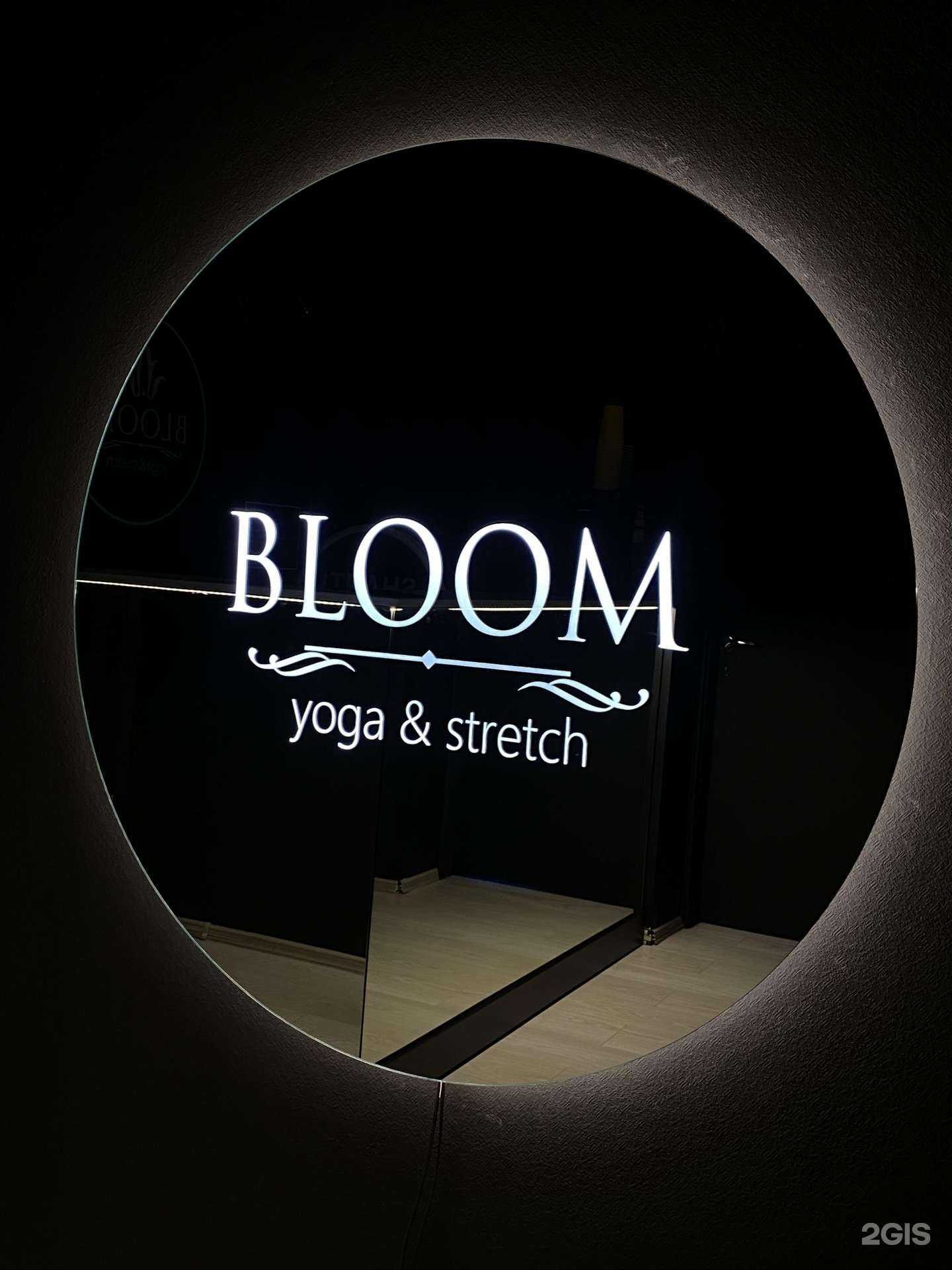 Отзывы на компанию Bloom в Новосибирске c фото