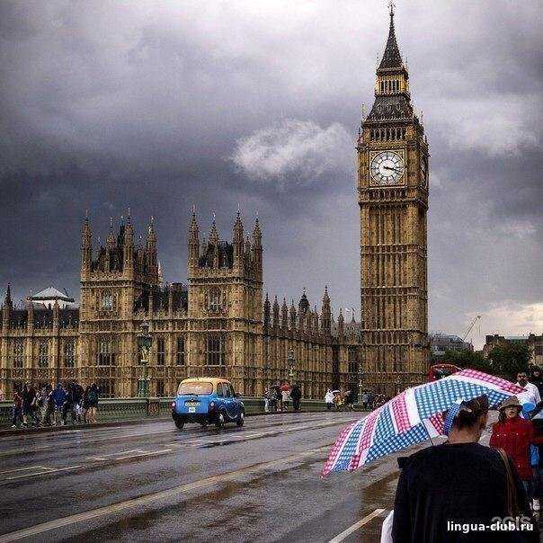 Отзывы на компанию Лингва Клаб в г. Волгодонск c фото