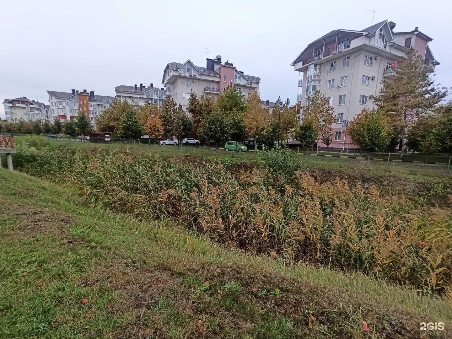 Отзывы на компанию Happy way в Краснодаре c фото - фотография 2 из 2