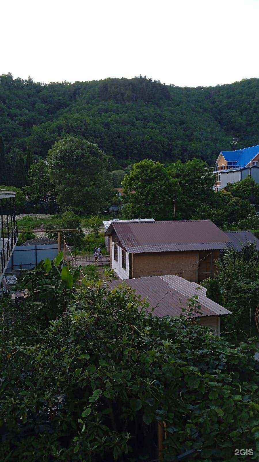 Отзывы на компанию Семейный в Сочи c фото