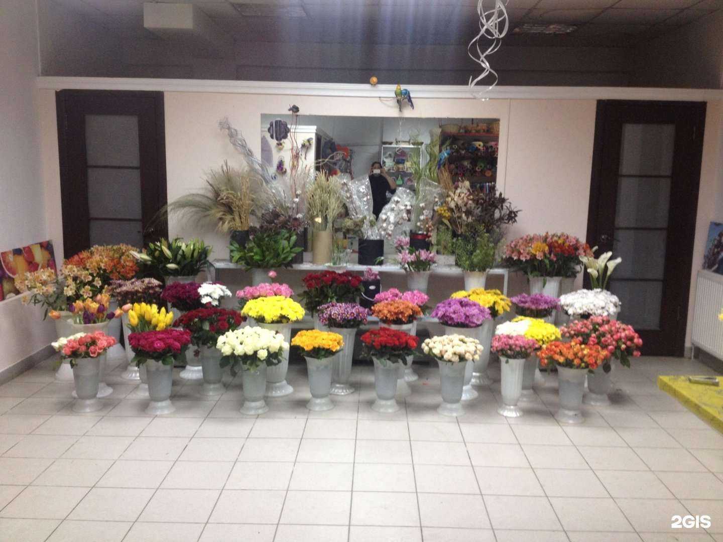 Отзывы на компанию Роза в Ставрополе c фото