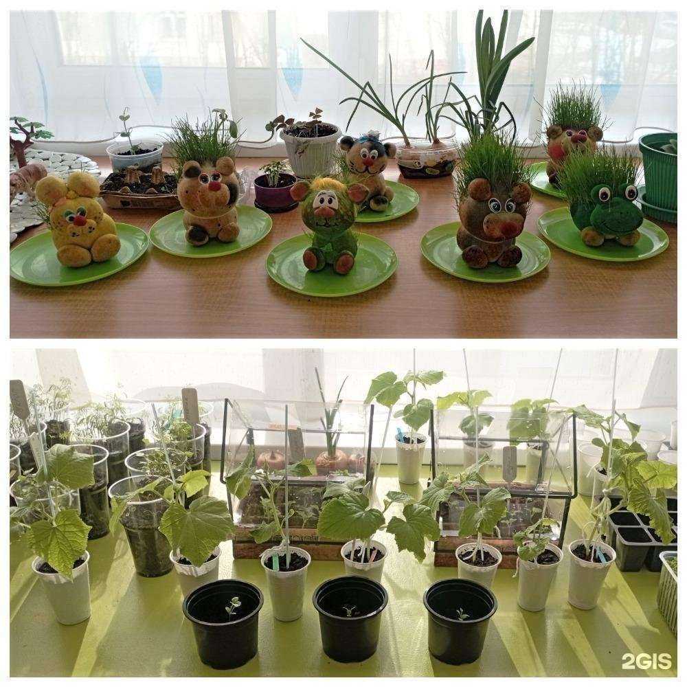 Отзывы на компанию Детский сад №101 в Мурманске c фото