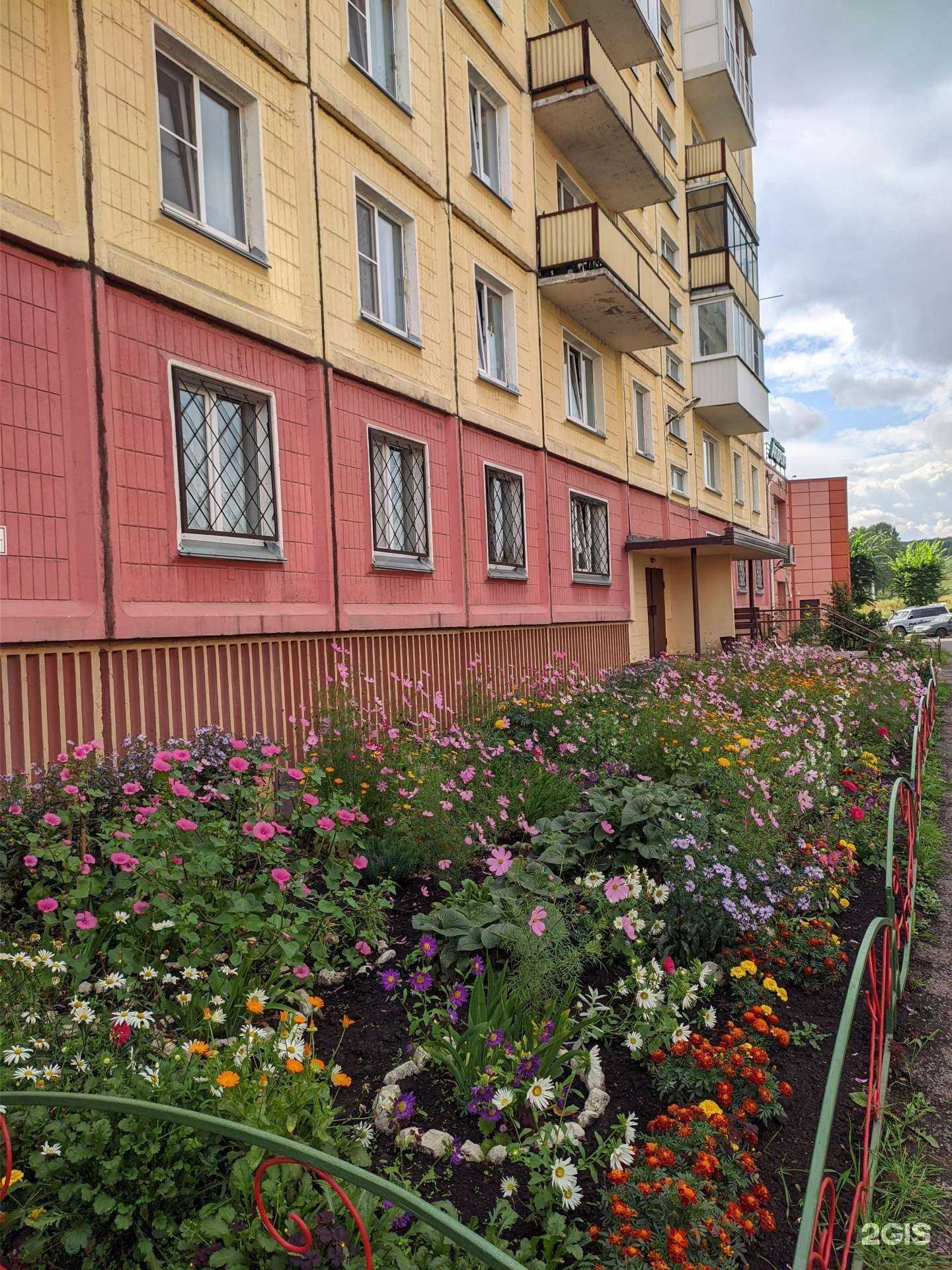 Отзывы на компанию Малина в Новокузнецке c фото - фотография 2 из 2