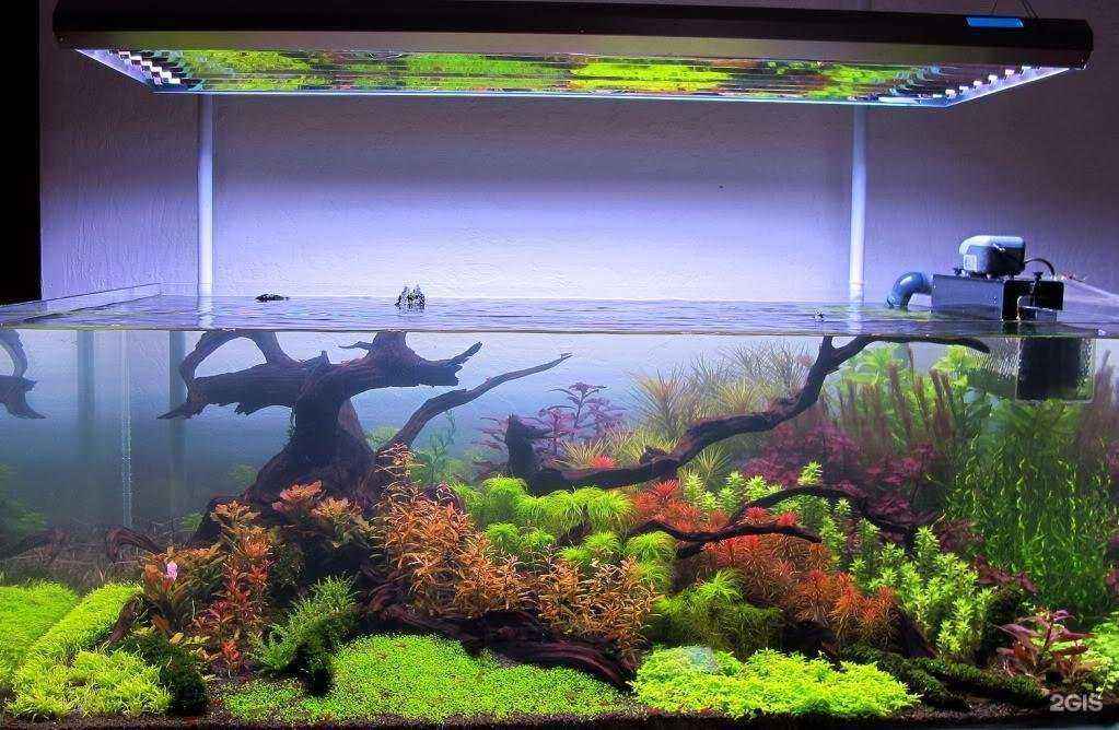 Отзывы на компанию Аква-НН в г. Нижний Новгород c фото