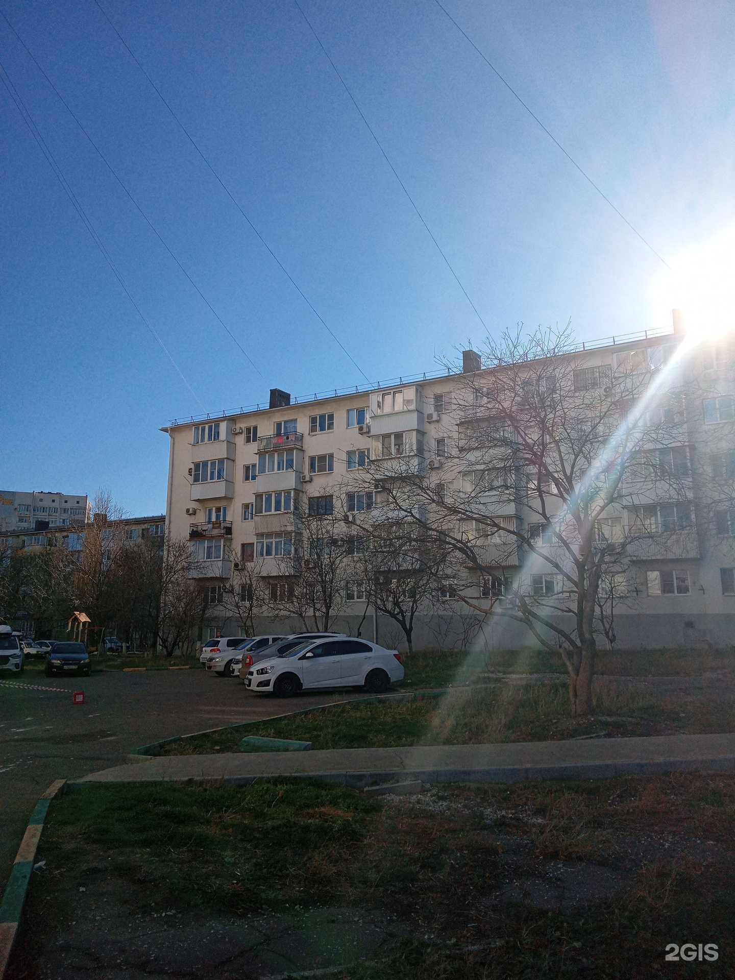 Отзывы на компанию Freeвед в Новороссийске c фото