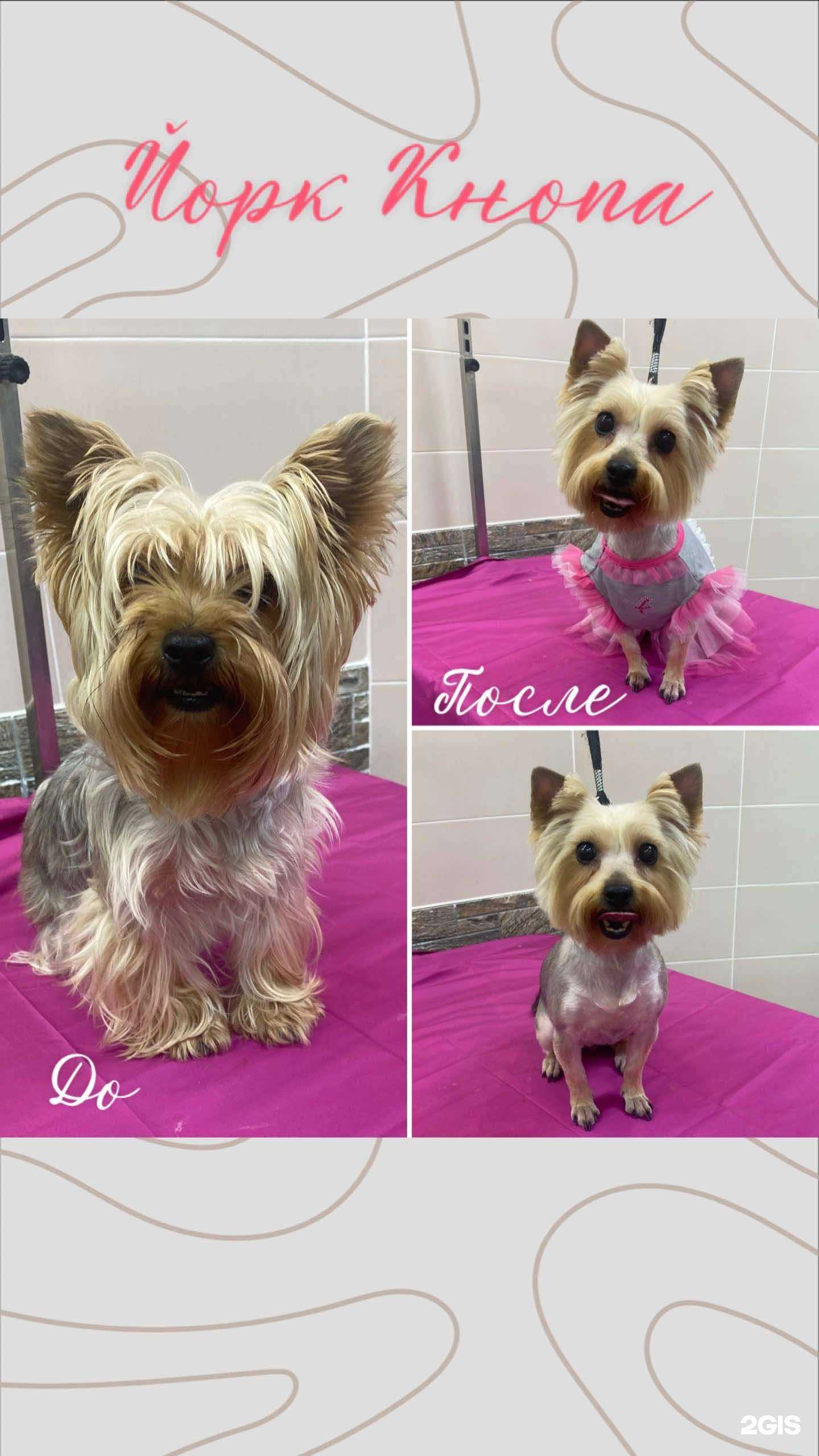 Отзывы на компанию Гаф & Мур в г. Пермь c фото