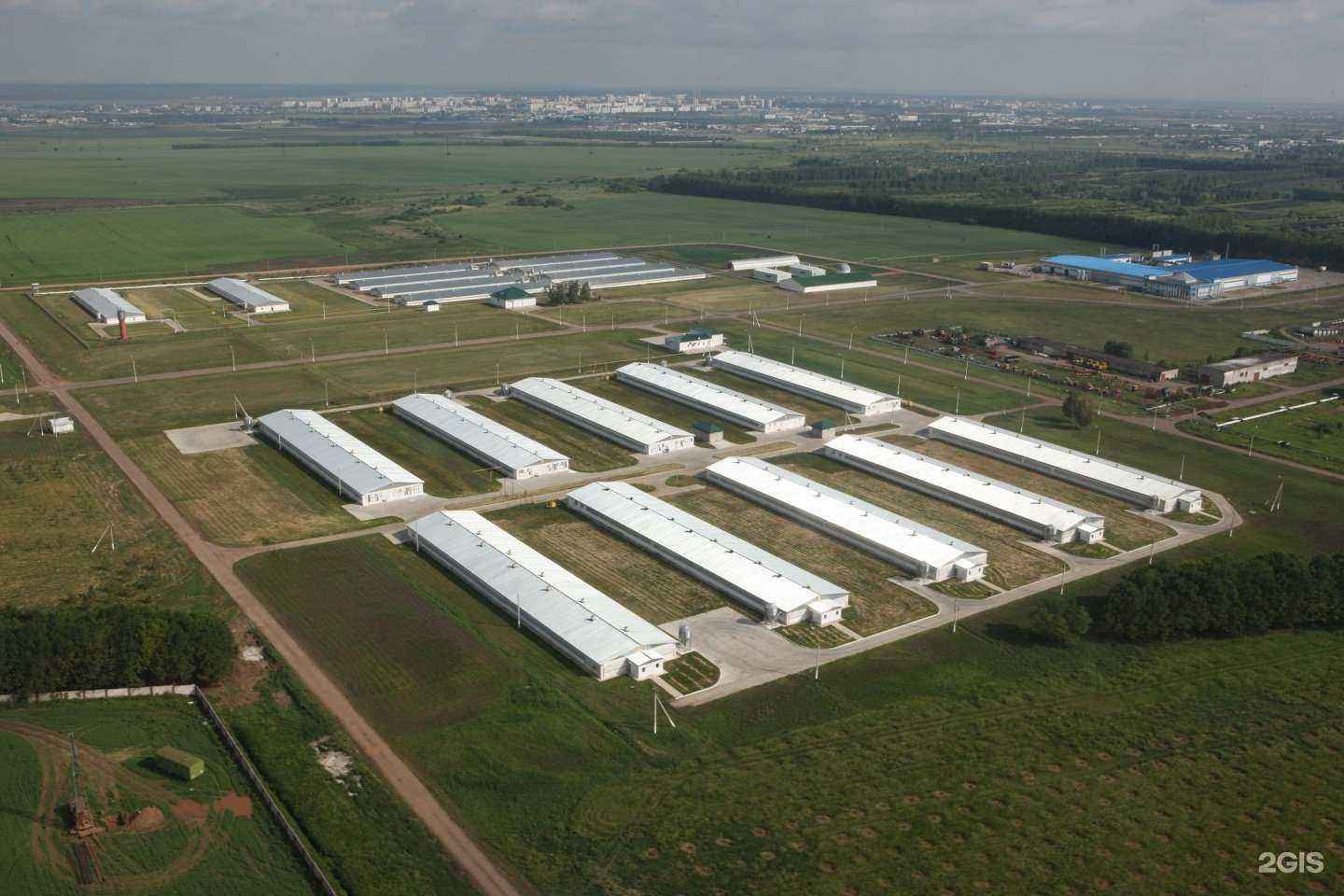 Отзывы на компанию Челны-бройлер в Набережных Челнах c фото