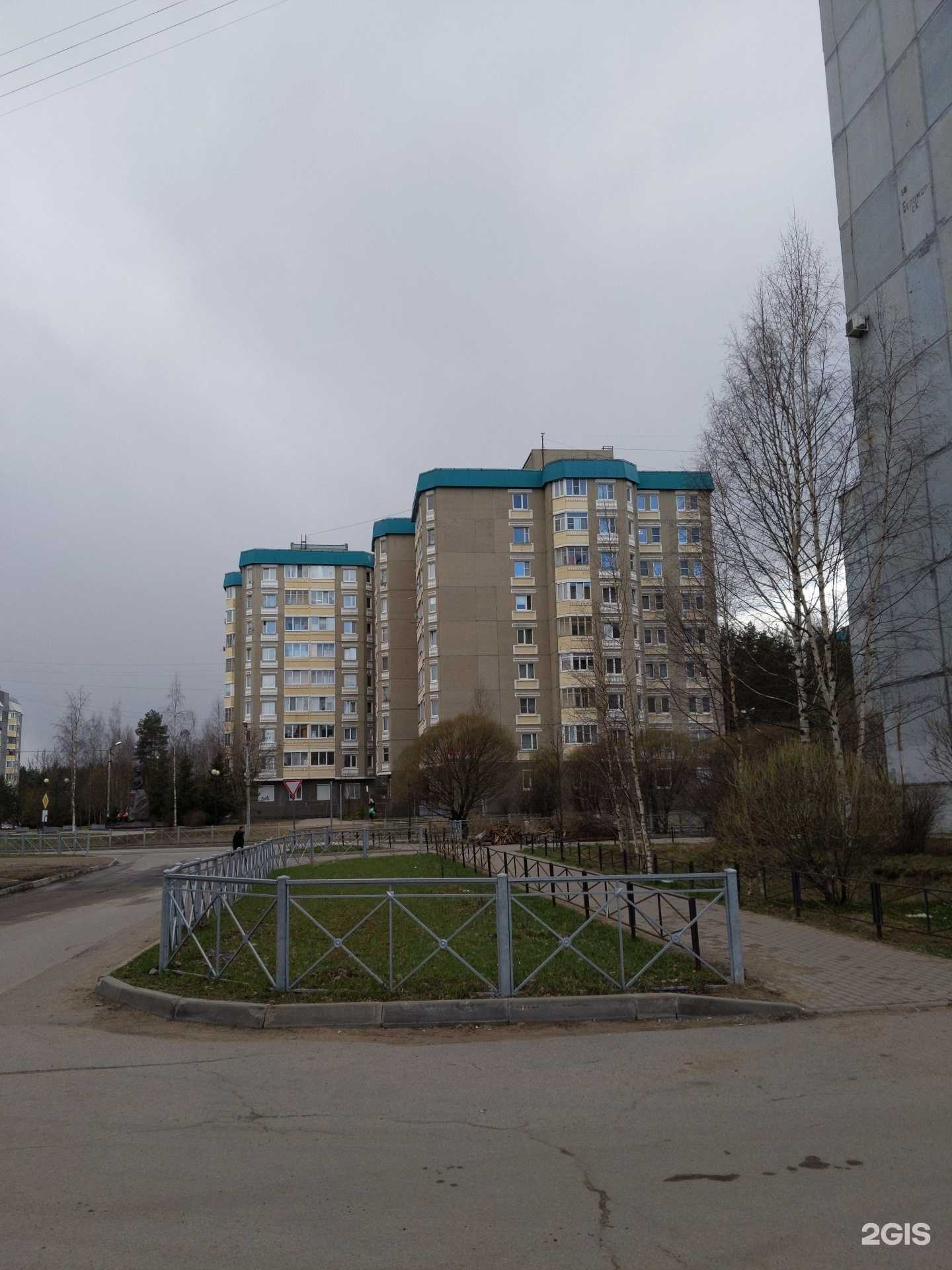 Отзывы на компанию Манэки Нэко в Сертолове c фото - фотография 2 из 2