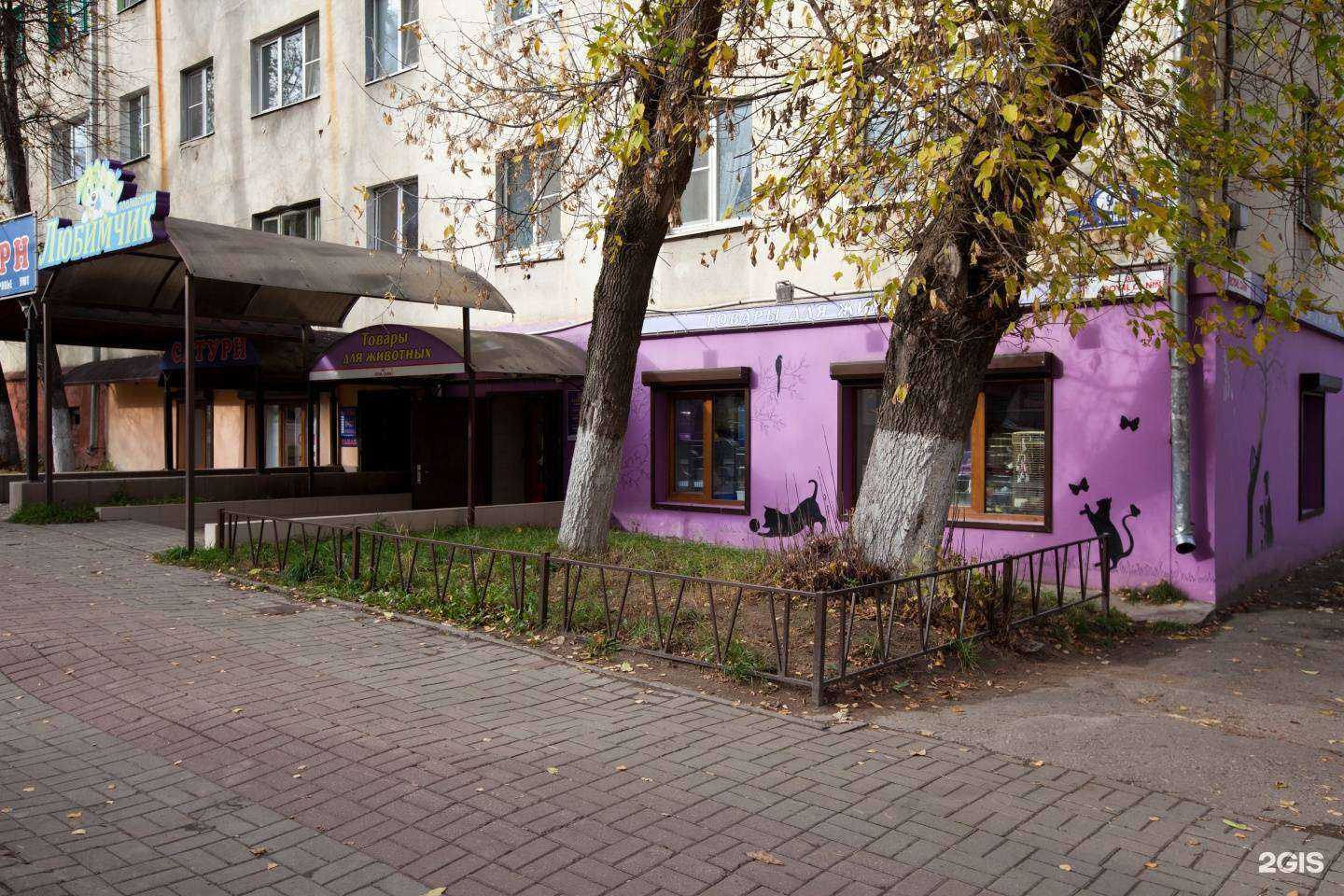 Отзывы на компанию Зоомафия в Калуге c фото