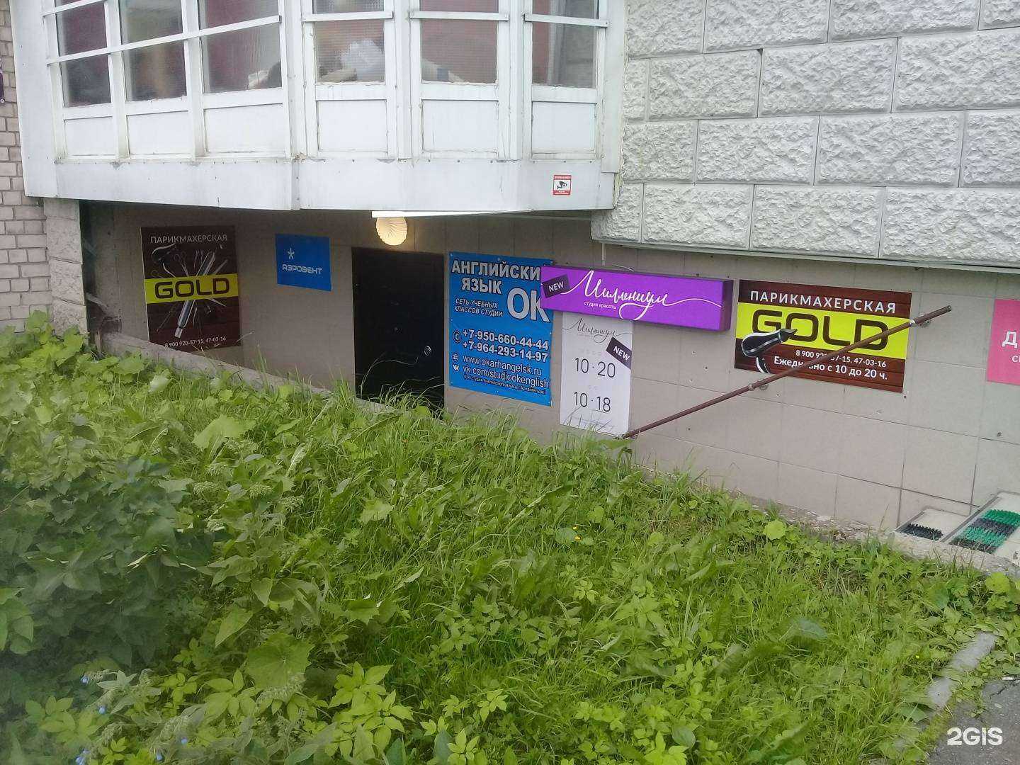 Отзывы на компанию Gold в г. Архангельск c фото