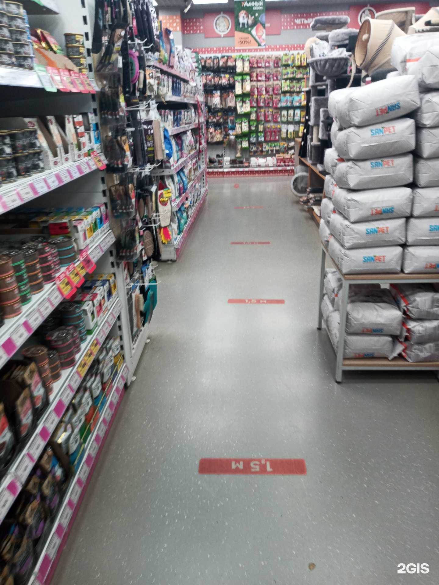 Отзывы на компанию Четыре лапы в г. Подольск c фото