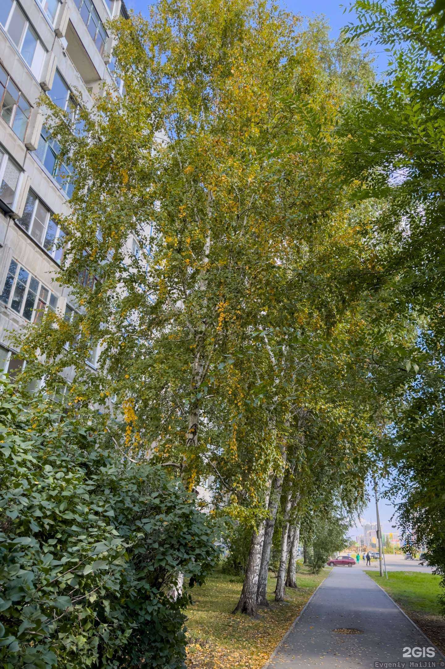 Отзывы на компанию Аптека для здоровья в Кургане c фото - фотография 2 из 2