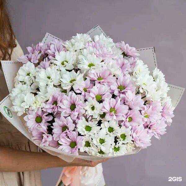 Отзывы на компанию Азалия в г. Сургут c фото