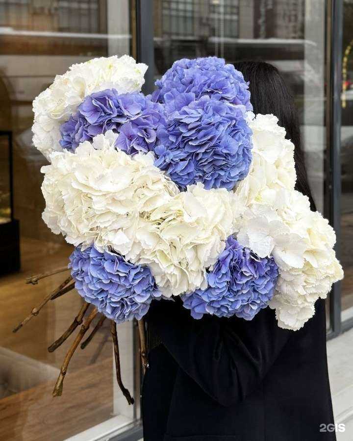 Отзывы на компанию Lirio flora в Махачкале c фото