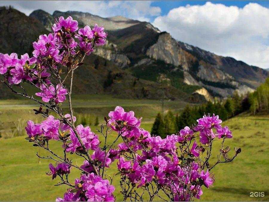 Отзывы на компанию Планета Тур в Пензе c фото