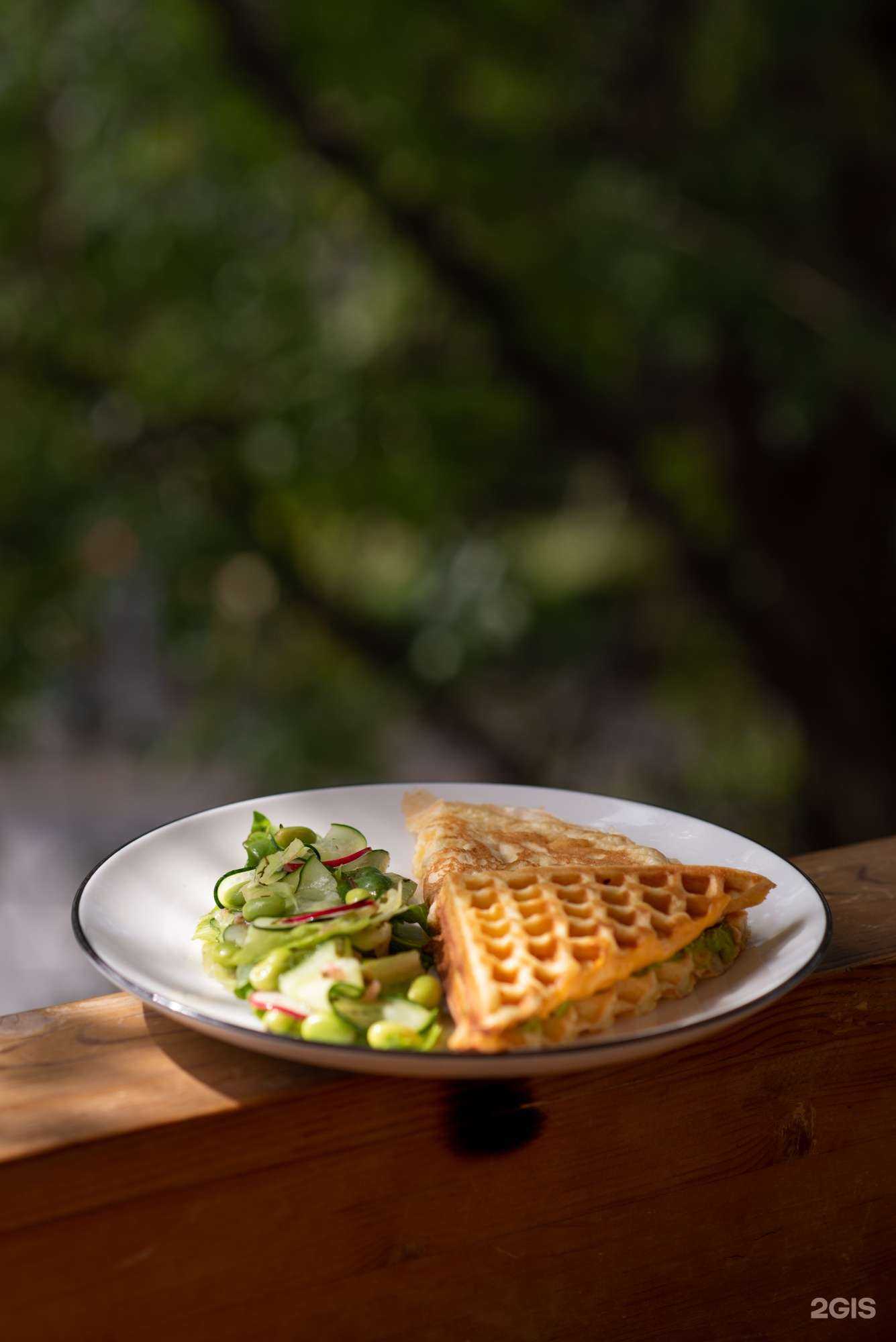 Отзывы на компанию Plants & Friends в Сочи c фото