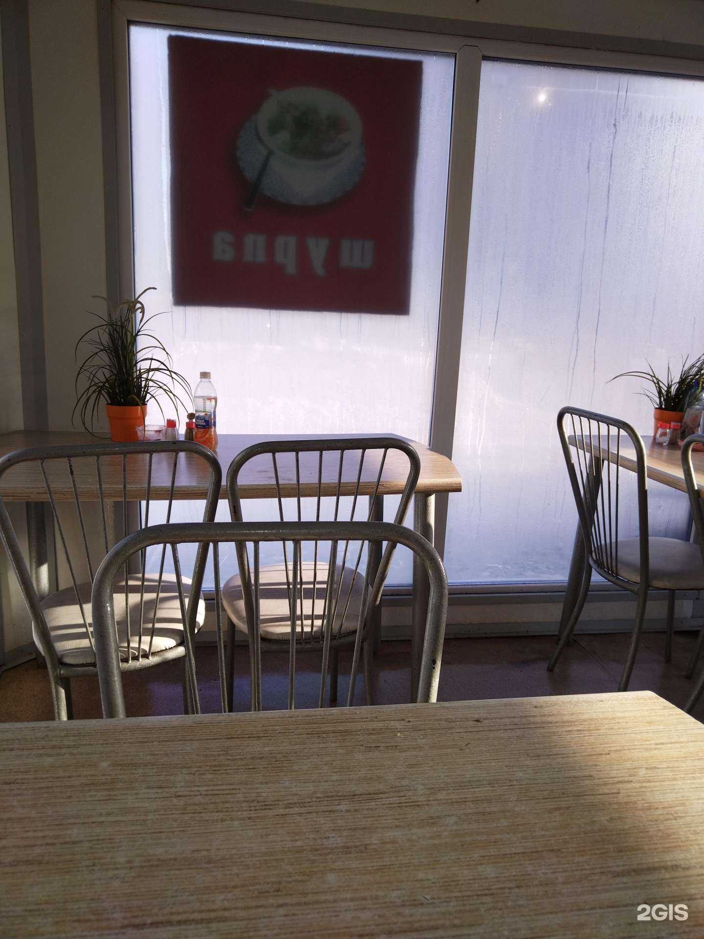 Отзывы на компанию Манты в Новосибирске c фото