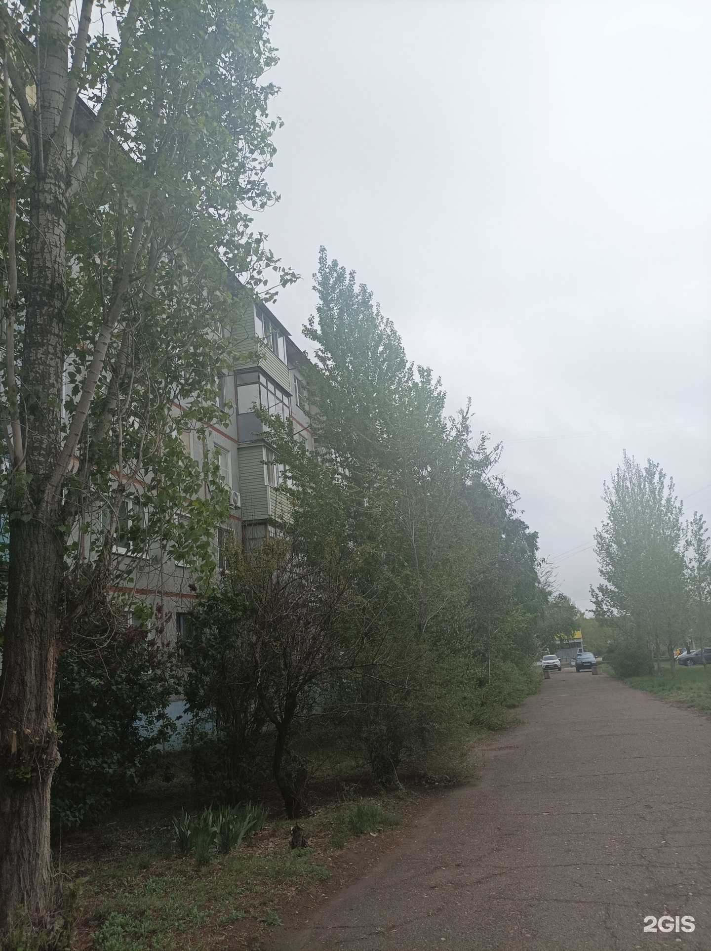 Отзывы на компанию Визави в Камышине c фото - фотография 2 из 2