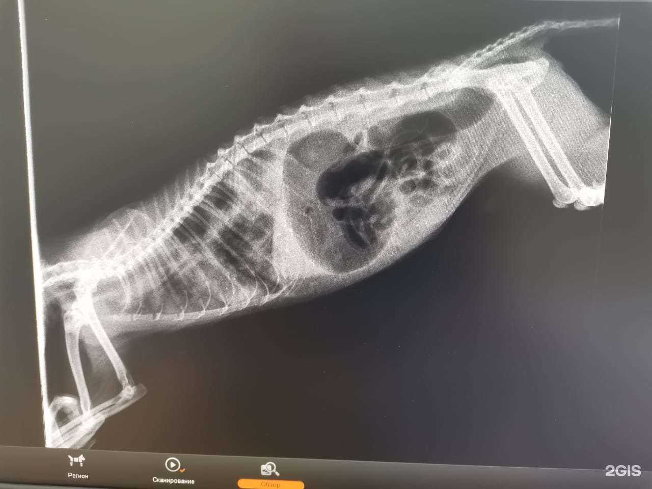 Отзывы на компанию Мама Кошка в г. Салават c фото