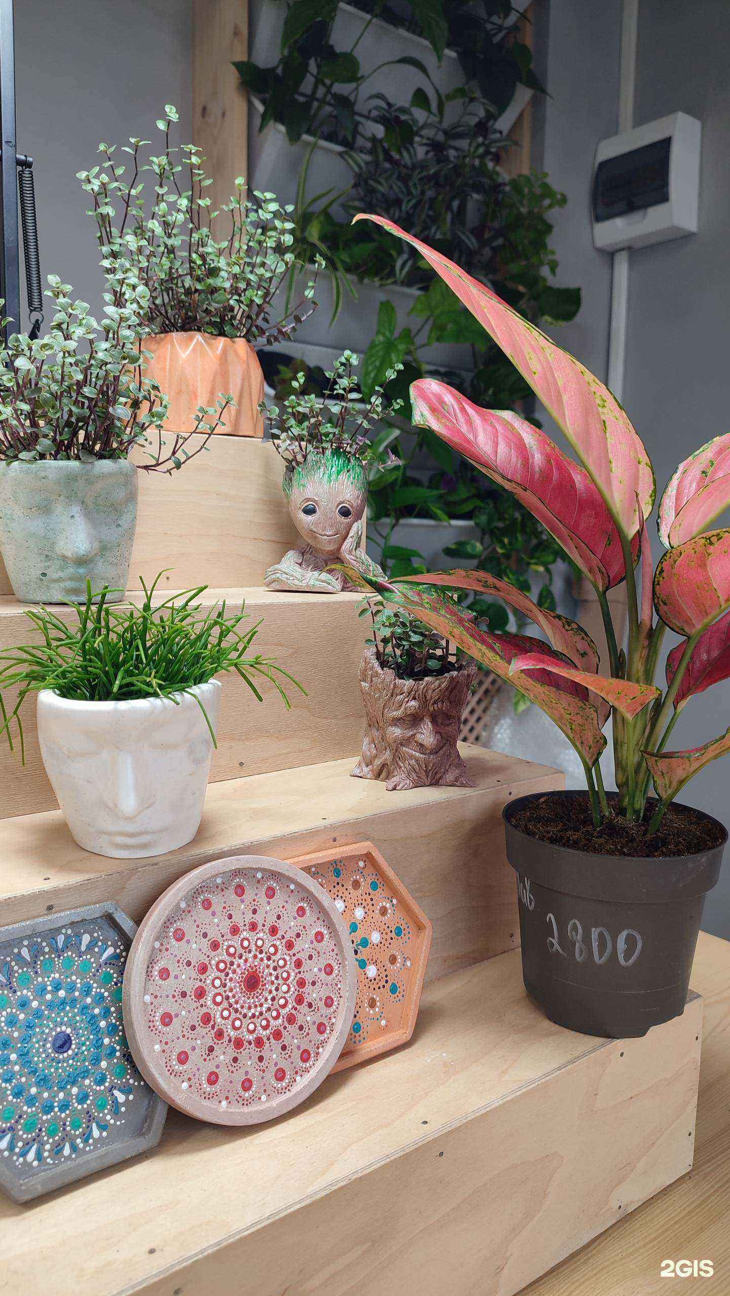 Отзывы на компанию Зелёный формат в Новороссийске c фото