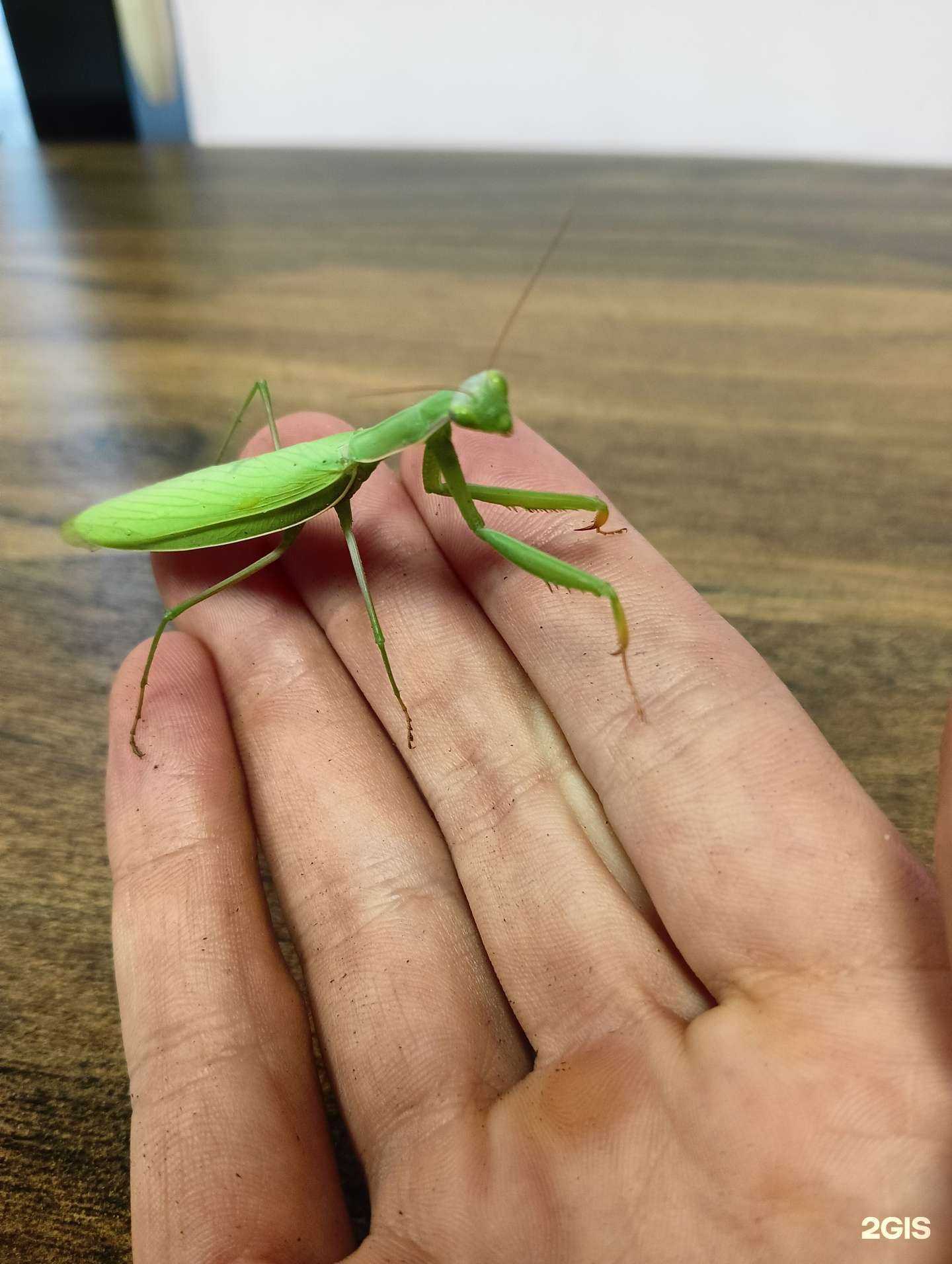 Отзывы на компанию Огонь в Барнауле c фото