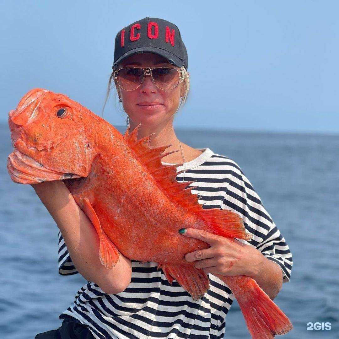 Отзывы на компанию Polaroid в Волжском c фото