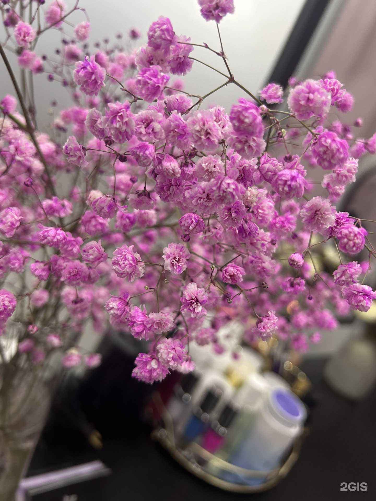 Отзывы на компанию Студия оформления бровей и ламинирования ресниц в Краснокамске c фото