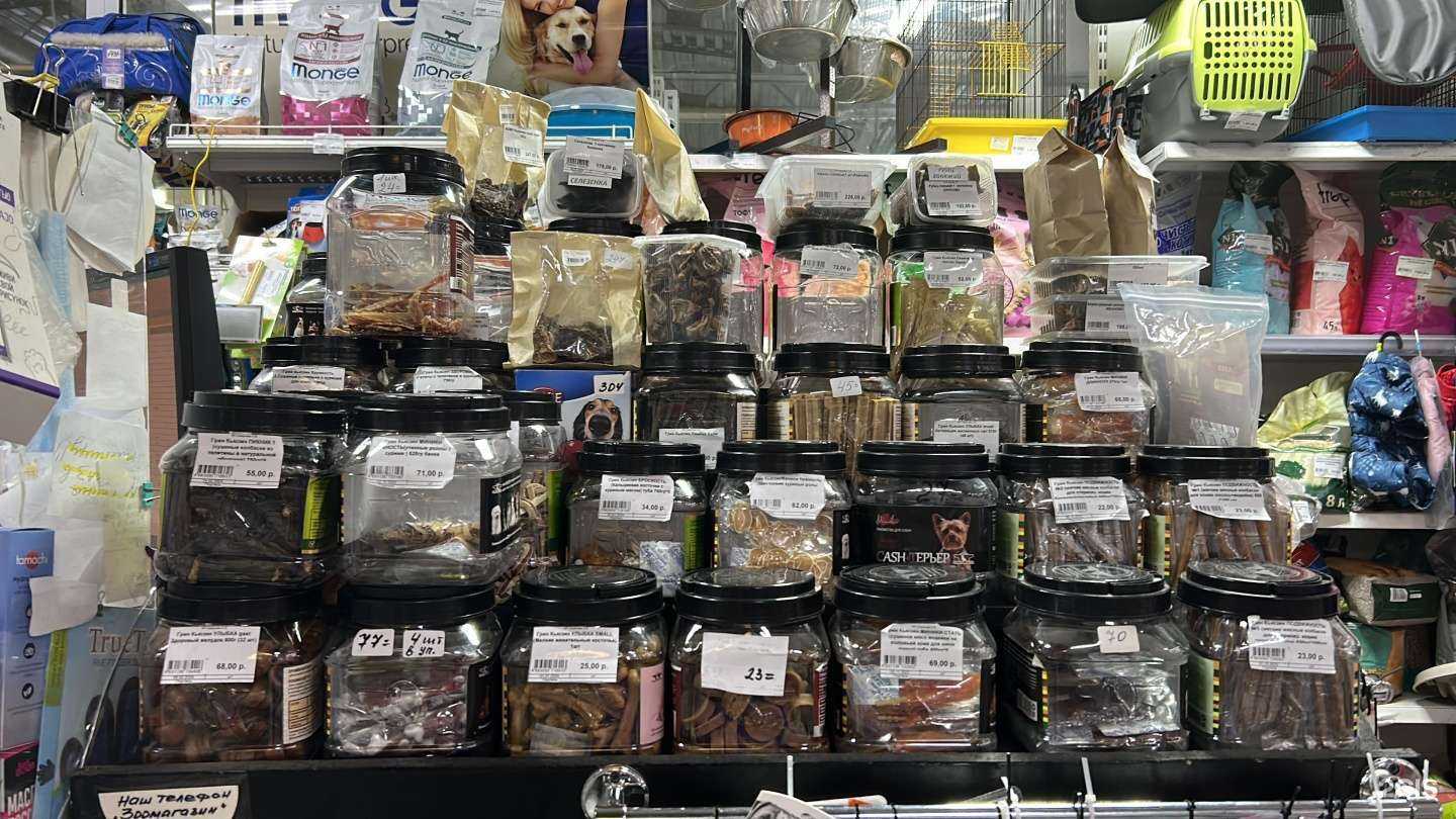 Отзывы на компанию Кот Леопольд в Иванове c фото