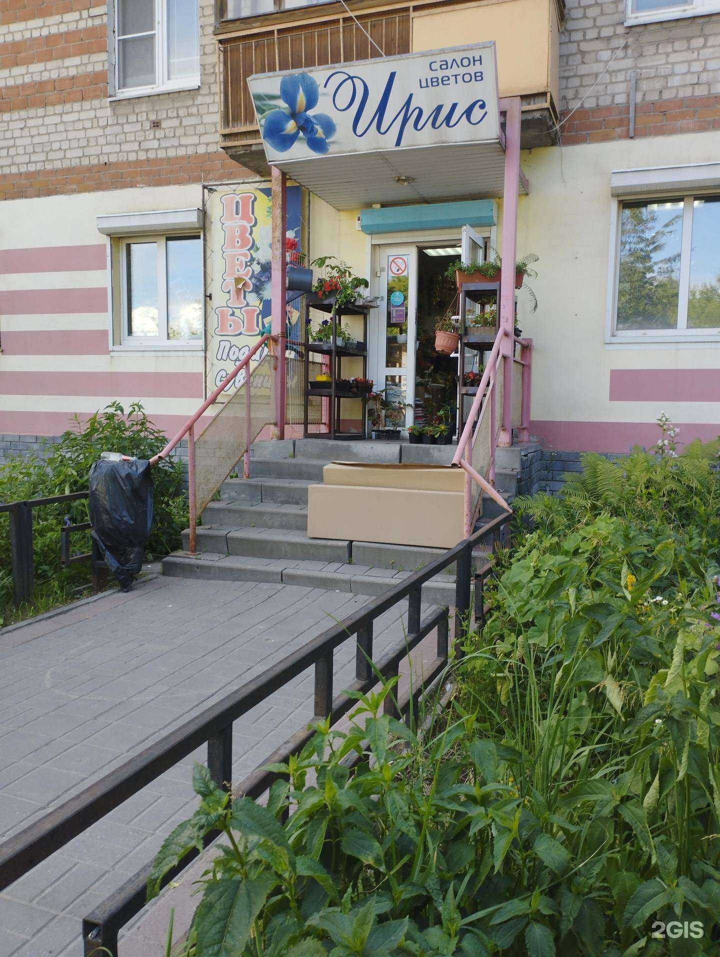 Отзывы на компанию Ирис в Боре c фото