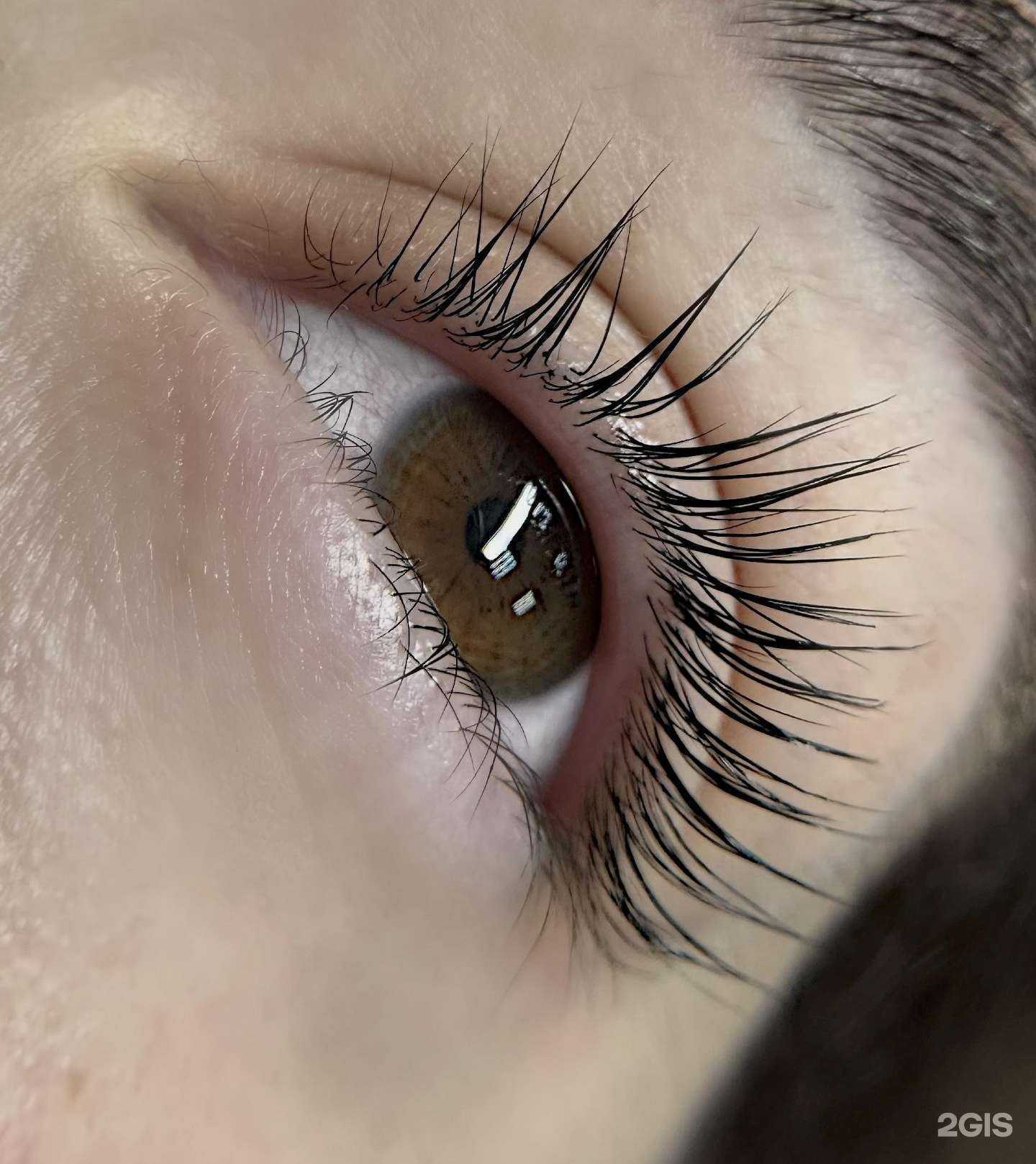 Отзывы на компанию Queen в Новосибирске c фото