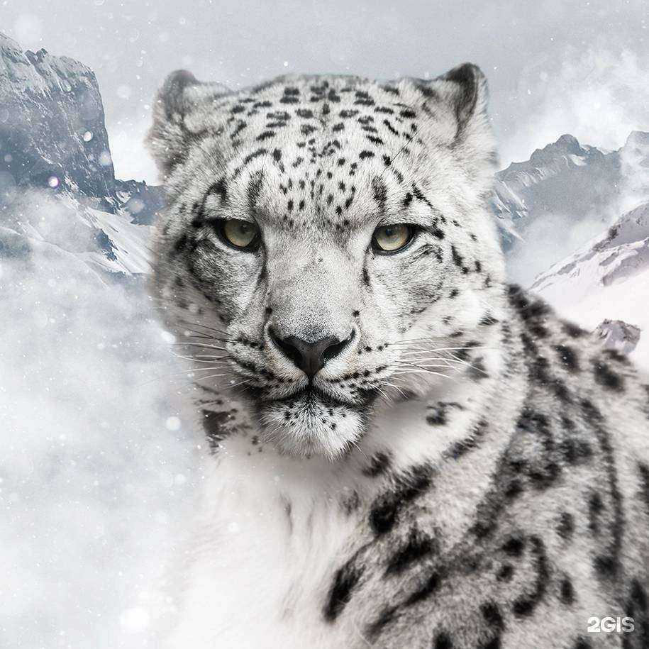 Отзывы на компанию Барс в Красноярске c фото