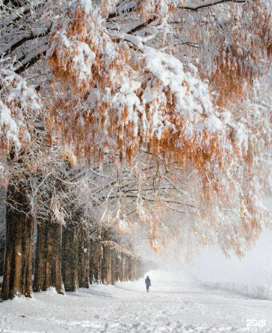 Отзывы на компанию Кабинет юриста в Мурманске c фото - фотография 2 из 2