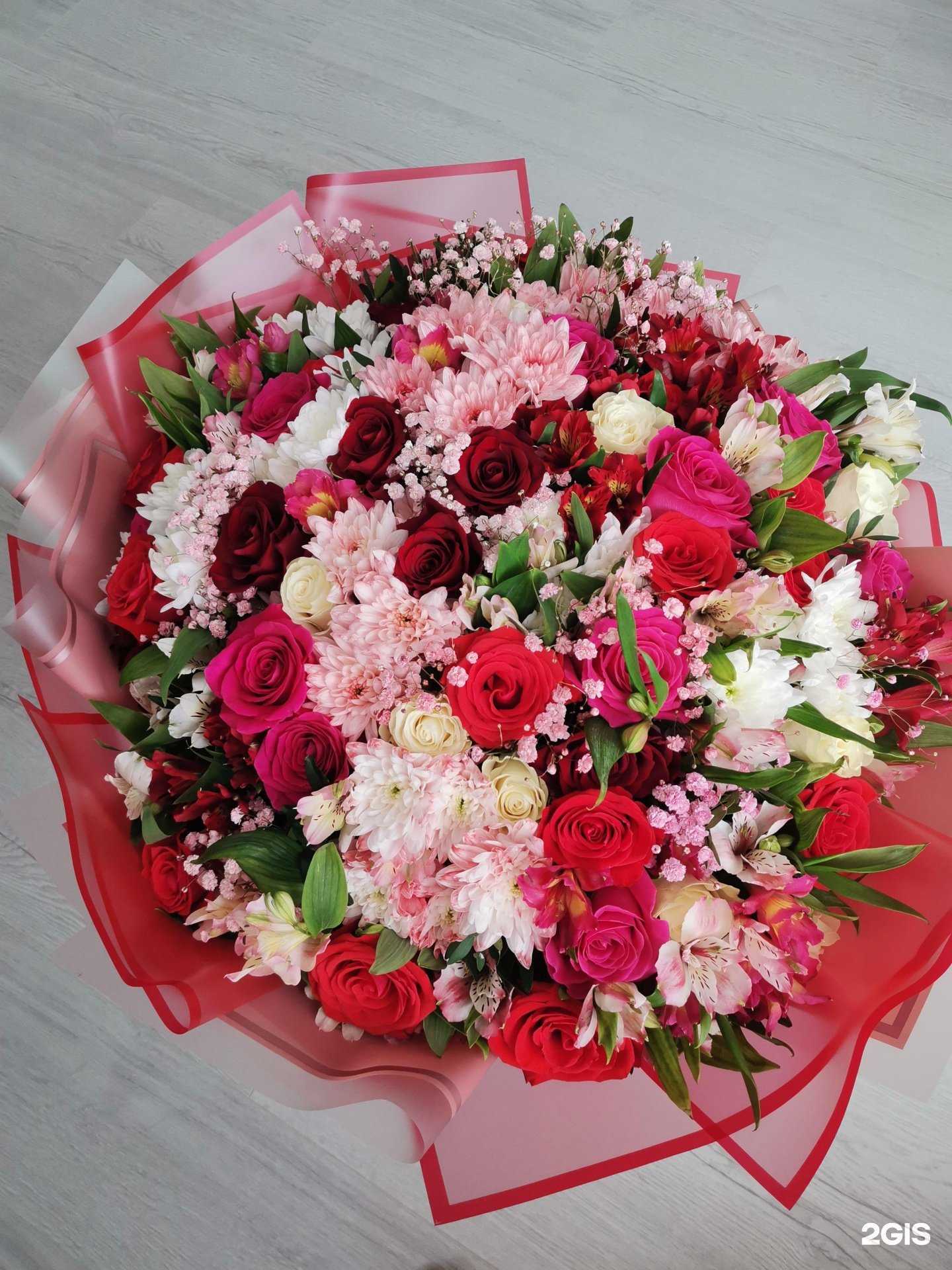 Отзывы на компанию Голландия в Тюмени c фото