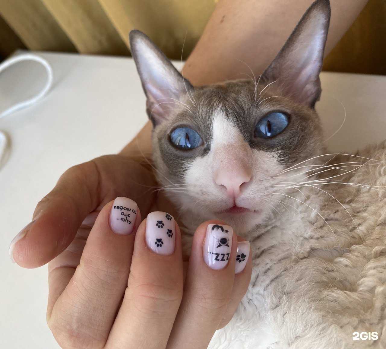 Отзывы на компанию Marinchik_Manikurchik в Ставрополе c фото