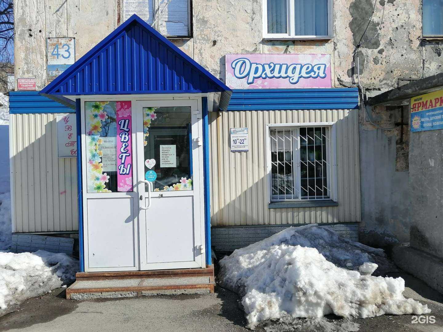 Отзывы на компанию Орхидея в г. Вилючинск c фото