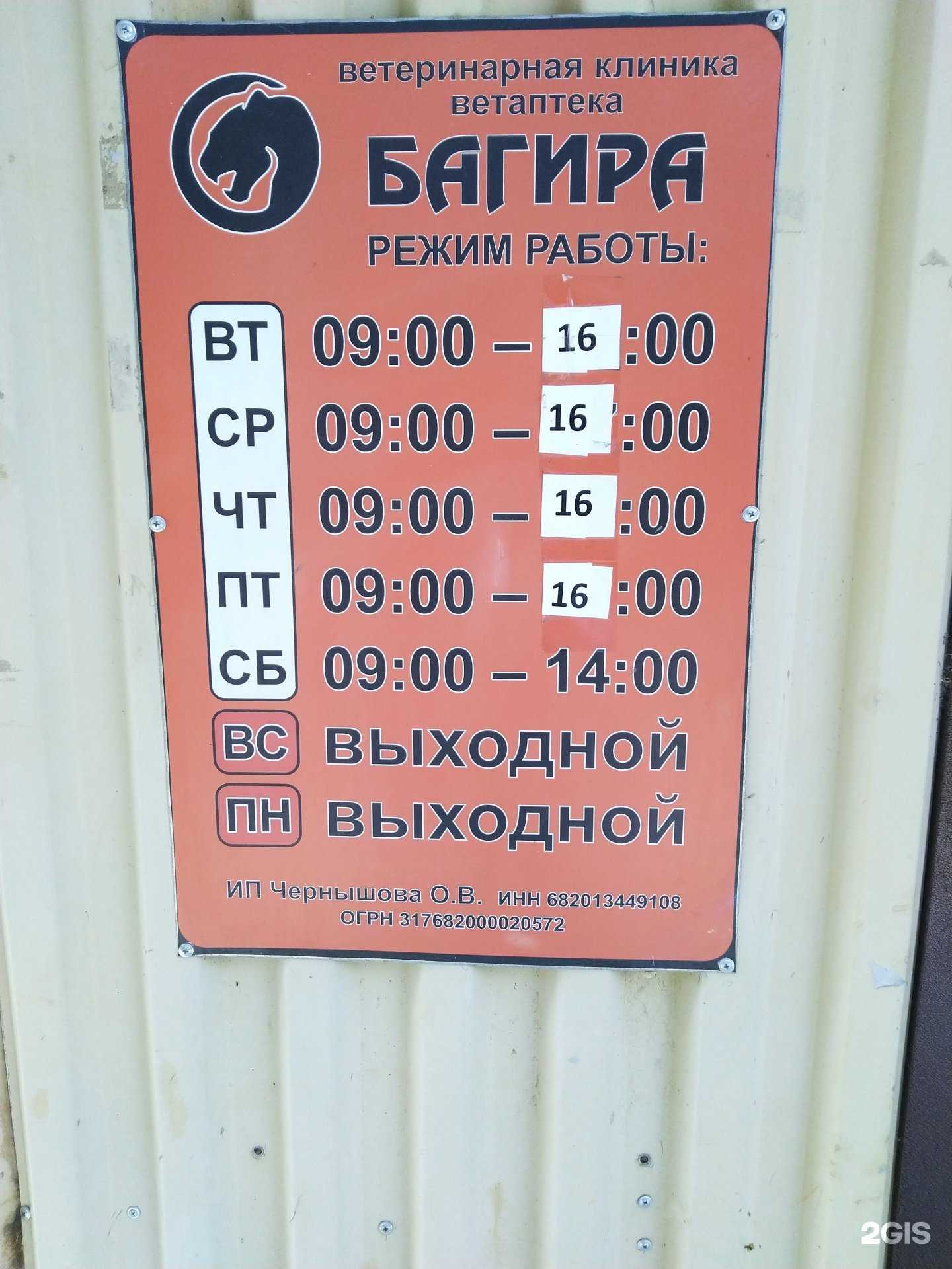 Отзывы на компанию Багира в Котовске c фото