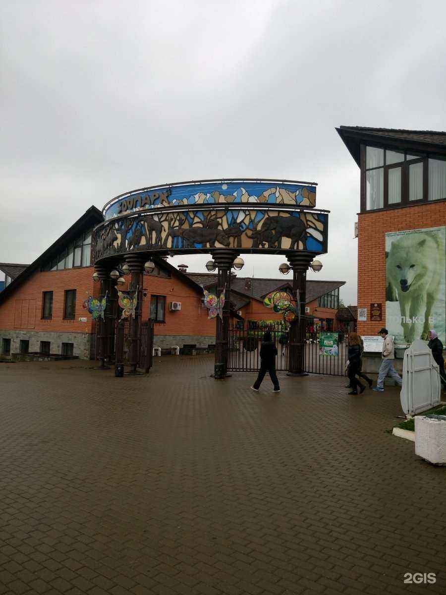 Отзывы на компанию Сафари в Ижевске c фото - фотография 2 из 2