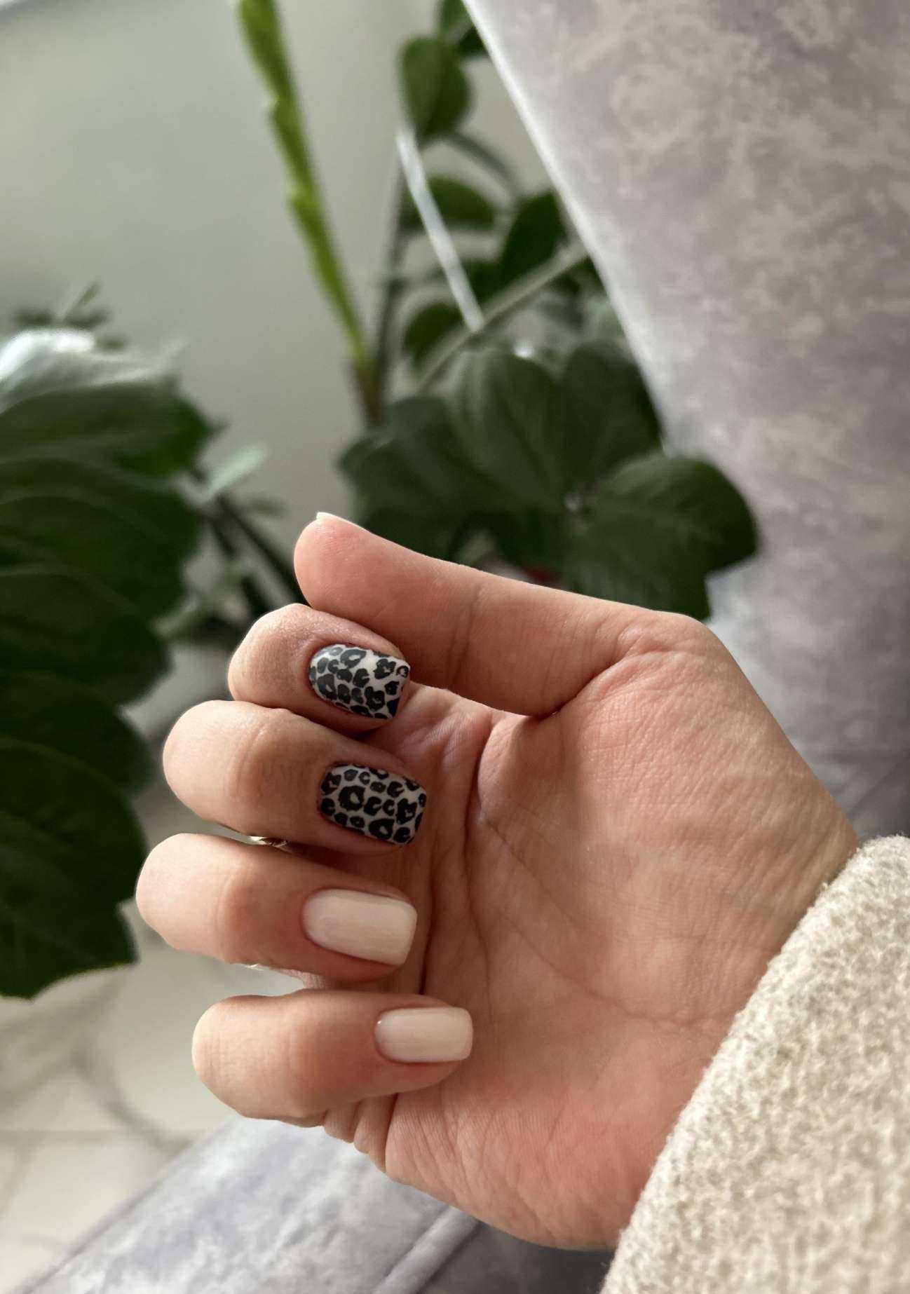 Отзывы на компанию Viki_studio в Саратове c фото