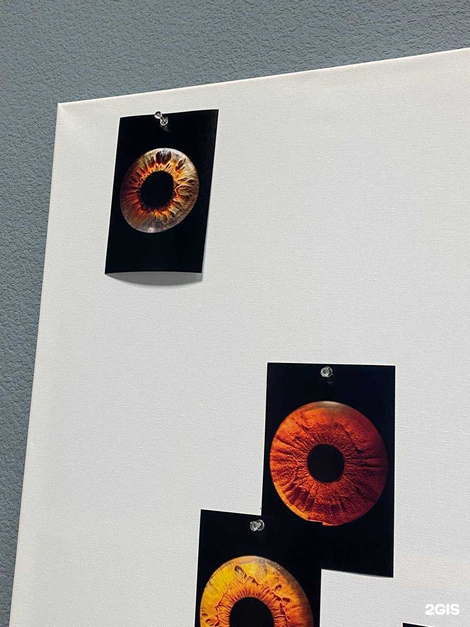 Отзывы на компанию Фотостудия портрета в г. Старый Оскол c фото