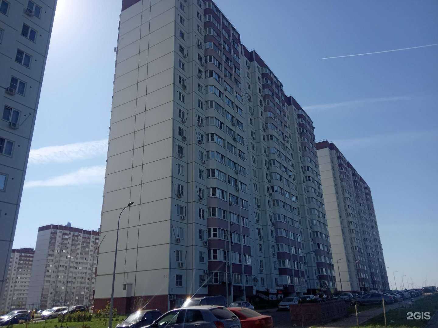 Отзывы на компанию Два кота в Ростове-на-Дону c фото - фотография 2 из 2