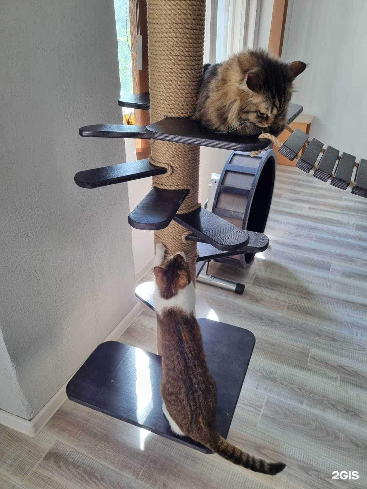 Отзывы на компанию ЗооВилла в Апатитах c фото