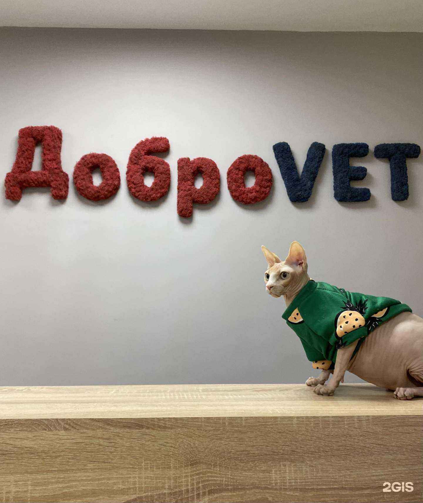 Отзывы на компанию ДоброVet в Фокине c фото