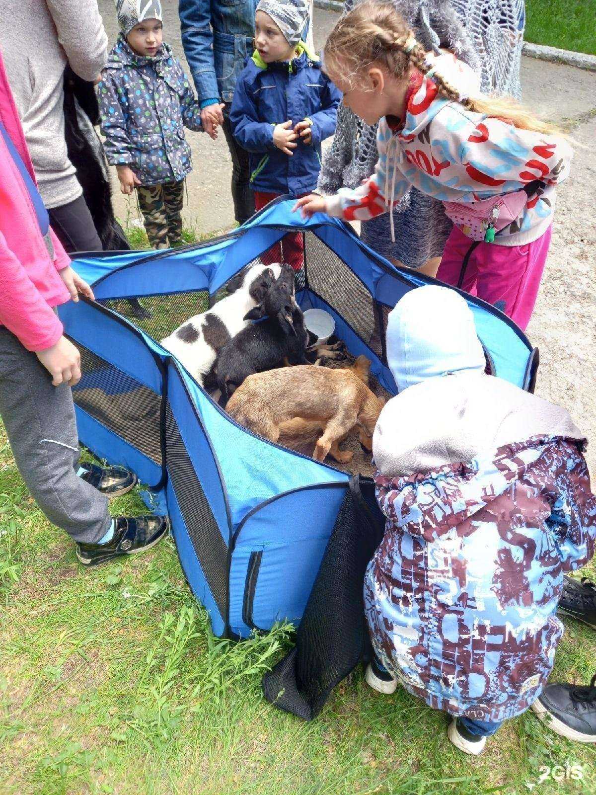 Отзывы на компанию Друг в Чебаркуле c фото